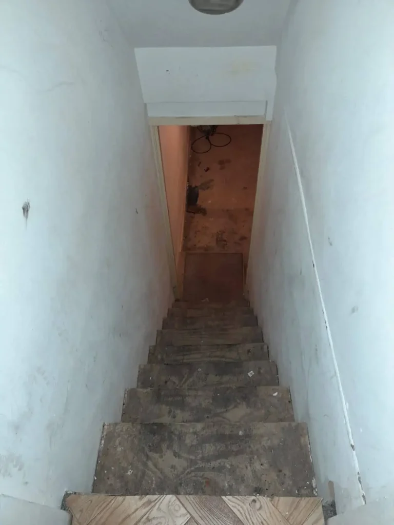 Basement Conversion in Didsbury