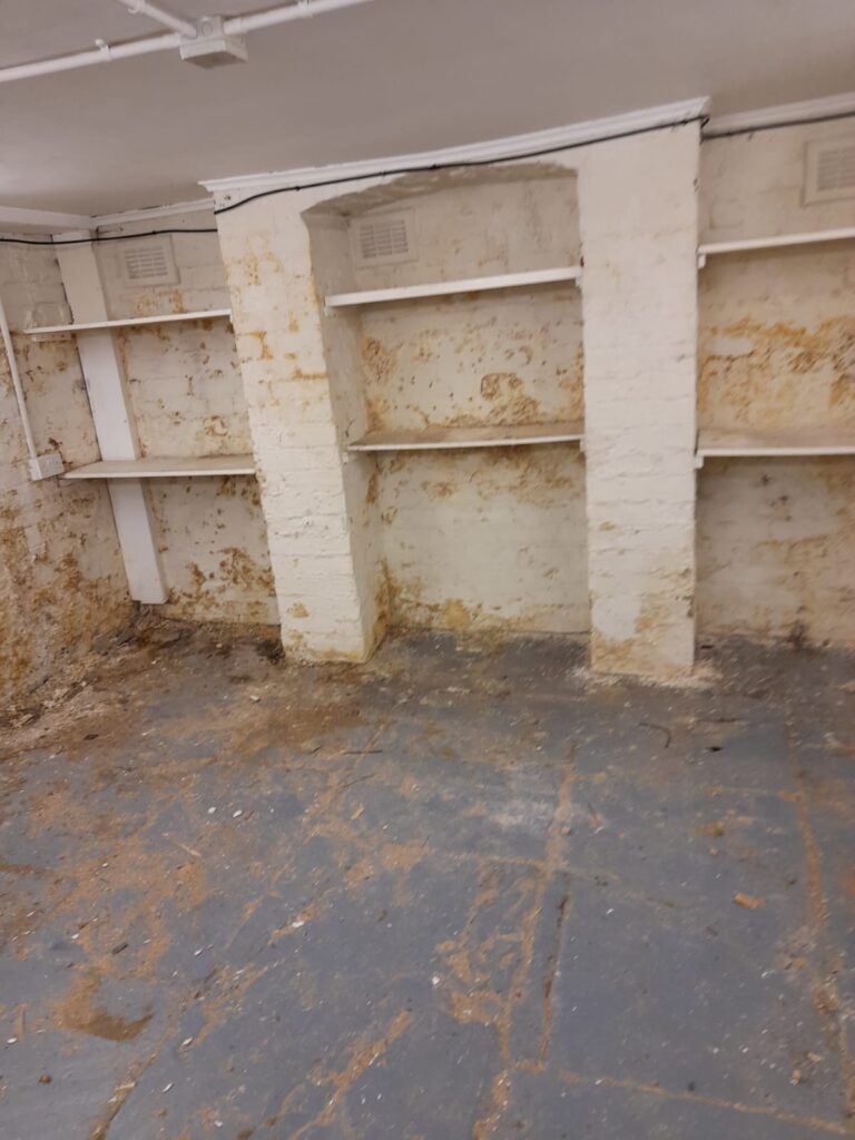 Basement Conversion in Didsbury