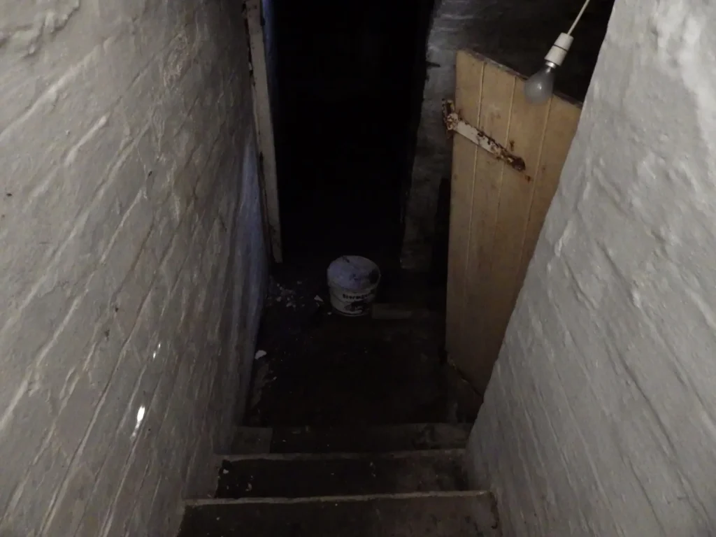 Cellar Conversion Pre-Conversion Photo in Manchester