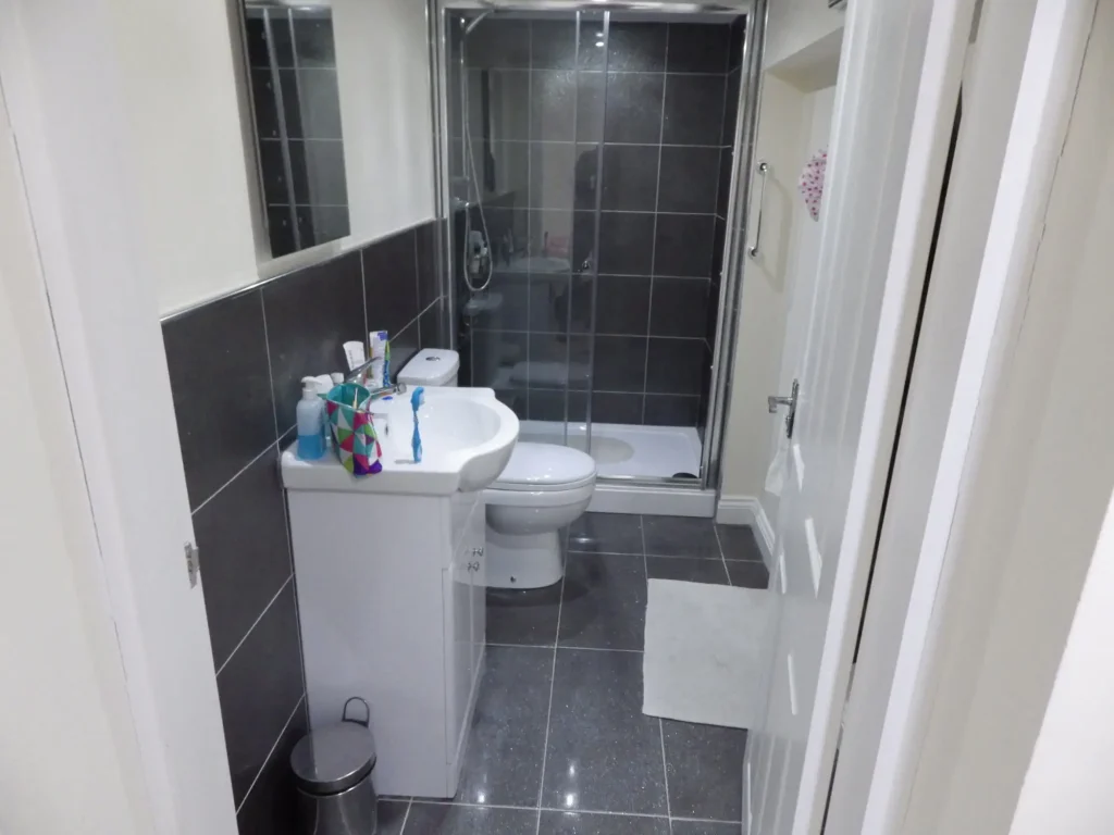 Cellar Conversion En-Suite After Photo in Manchester