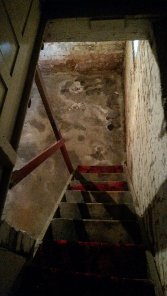 Cellar Conversion Staircase