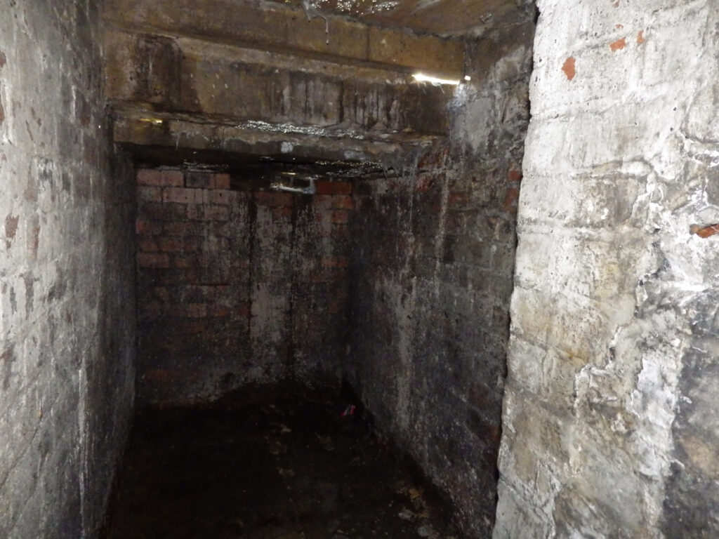 Cellar Conversion Pre-Conversion Photo in Manchester