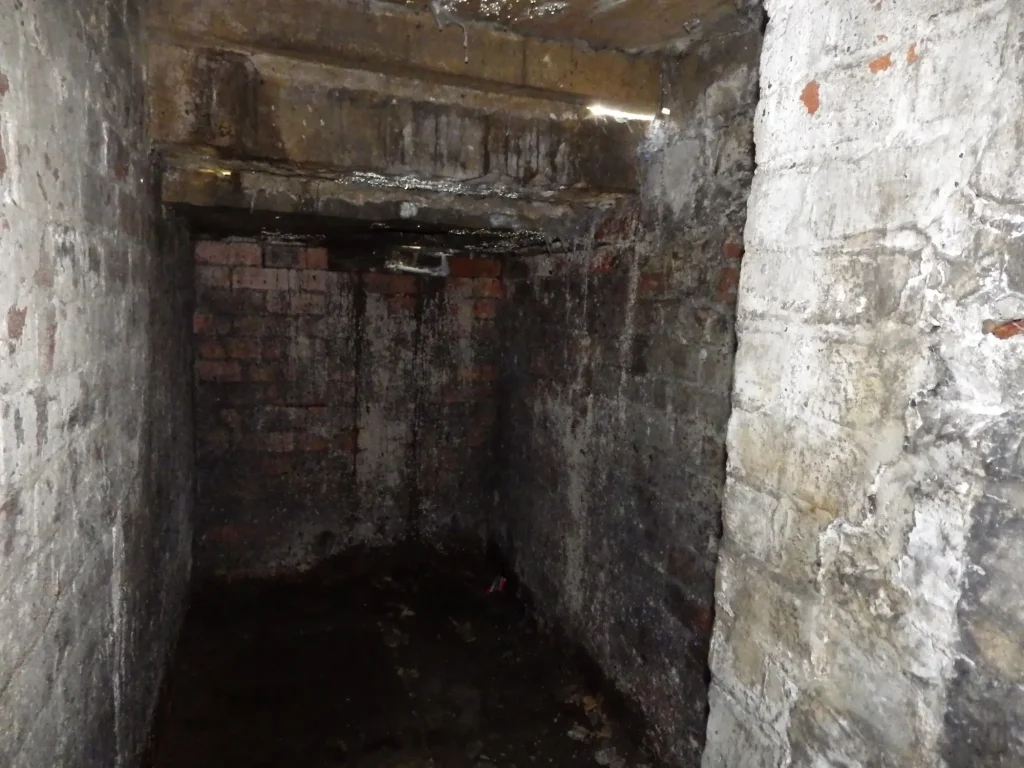Cellar Conversion Pre-Conversion Photo in Manchester